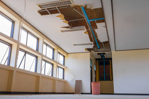 Best Sewage cleanup and water damage restoration  in Callaway, MD