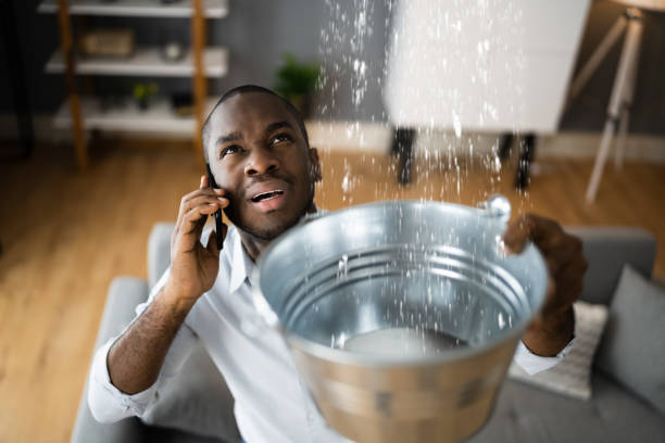 Best Water damage restoration near me  in Callaway, MD