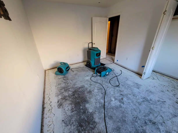 Best 24/7 water damage repair  in Callaway, MD