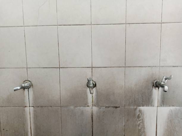 Best Water damage contractors near me  in Callaway, MD