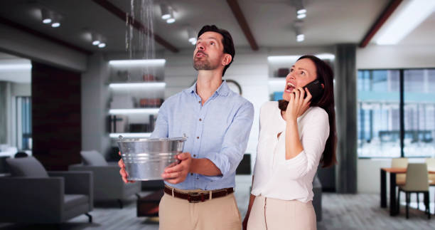 Best Basement water damage restoration  in Callaway, MD