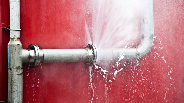 Best Carpet water damage restoration  in Callaway, MD